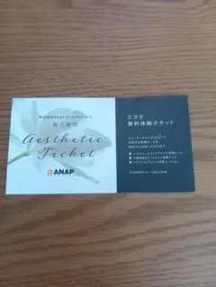 ANAPホールディングス 株主優待 エステ無料体験チケットのサムネイル