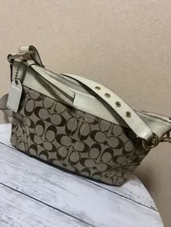 Item thumbnail for item f24affff-a43a-4a73-9e08-027119fb20c5