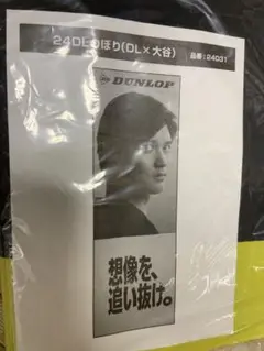 DUNLOP 24DLぽり(DL×大谷) 24031