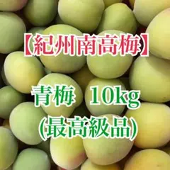 4Lサイズ 和歌山県産 紀州南高梅 色付き 箱込み10キロ 青梅⑥ - メルカリ