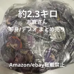 【特価】浦島坂田船 志麻 デフォ まとめ売り 缶バッジ 大量 等身 セット