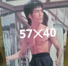 2026年最新】ブルース・リー パネルの人気アイテム - メルカリ
