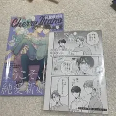 30歳まで童貞だと魔法使いになれるらしい 11特装版