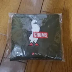 Item thumbnail for item 2af6d15c-c9a1-4756-a152-de85fddac708