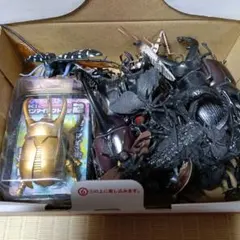 昆虫フィギュアセット