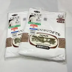 Tシャツ2枚セット　gunze/快適工房　ホワイト/3Lサイズ K259187