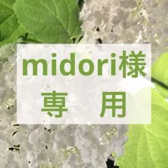 midori様専用　ロクシタン　ヴァーベナ　バターソープ　100g2個　未使用品