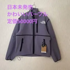 激レア☆日本未発売【NORTHFACE】 W RMST DENALI ジャケット