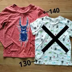 エコ梱包してます様　140 昆虫　クワガタ　Tシャツ　キッズ　子供用