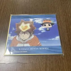 ● REBORN くじメイト カジノディーラー ミニ色紙 沢田綱吉＆リボーン