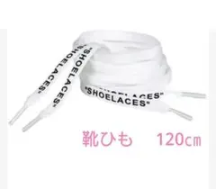 Item thumbnail for item 4df71618-3409-4bcb-bd31-6736900b5e81