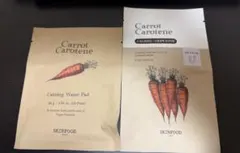 Item thumbnail for item 1af5a637-bc1b-4654-95d6-a12404f79cb7