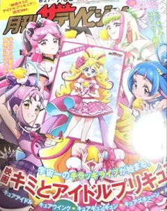 キミとアイドルプリキュア テレビジョン 特典 ブロマイド キュアアイドル