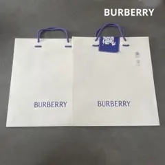 BURBERRYバーバリー ショッパー2枚のサムネイル