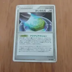 かいの化石 トレーナーカードのサムネイル