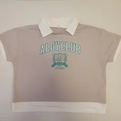 ALGY Tシャツ 襟付き カレッジロゴ　140のサムネイル