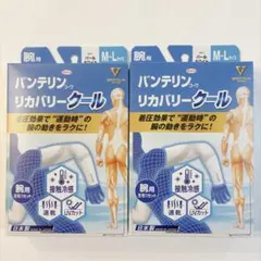【新品2箱】バンテリン リカバリークール 腕用サポーター M〜L