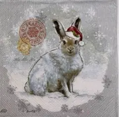 ꕤ︎︎·͜· ︎︎ Xmas動物6⑮・3枚セットペーパーナプキン