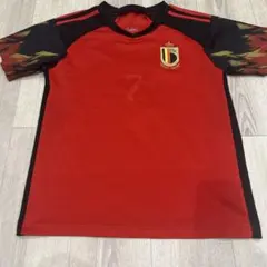 2011年W杯優勝記念限定日本代表オーセンティックユニフォーム 川澄選手