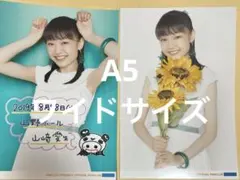 ハロプロ　モーニング娘。　山﨑愛生　A5ワイドサイズ生写真