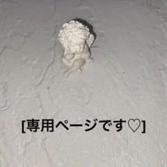ゆみ様(専用ページ♡)です。