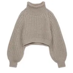 SNIDEL ローゲージショートニットプルオーバー