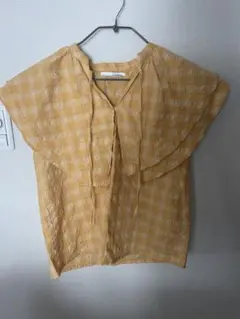 チェクの服のサムネイル