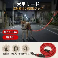 Item thumbnail for item a4c68dd2-b89d-4bdb-98d7-e81871a41253