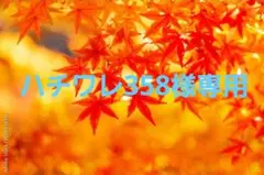 専用ページ