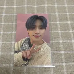 SEVENTEEN あいのちから ユニバ特典 トレカ ディノ