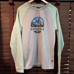 Patagonia 1973 長袖カットソー ラグラン 薄手スエットシャツ古着 