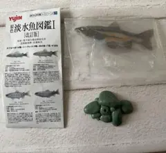 ユージン 原色 淡水魚図鑑 ウグイ フィギュア