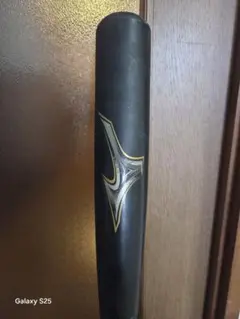 Item thumbnail for item 2cfc51ea-5f24-4451-8c35-cae97766f77c