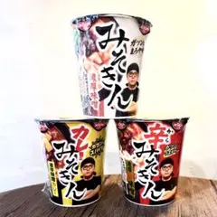 日清 新みそきん濃厚味噌ラーメン 30個とみそきんメシ 30個 合計60個