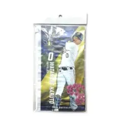 オリックス 渡部遼人 チケットホルダー 2024