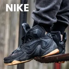 人気モデル！希少Nike LeBron13 Black Lion26.0cm