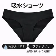 ショーツ　吸水　おりもの　サニタリー　生理　インナー　ノーマル　ブラック　L