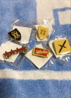 BUMP OF CHICKEN ピンバッジ5個セット