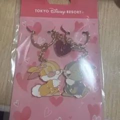 東京ディズニーリゾート ペアキーチェーン とんすけ ミスバニー