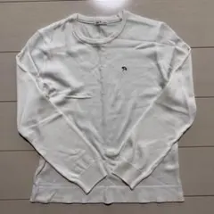 Arnold Palmer（アーノルド パーマー）レディースL ハイゲージニット