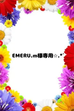 EMERU.m様専用✩.*˚