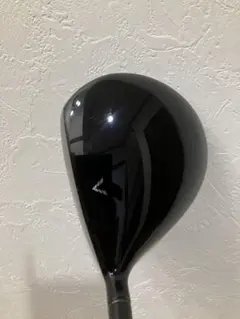 Item thumbnail for item d81fca08-94c9-4e00-83d9-d757c94fbe3a