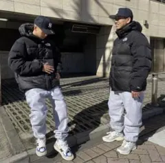 THE NORTH FACE HMLYN DOWN PARKA