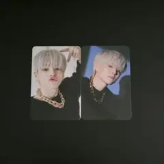 treasure ヨシ night garden ナイトガーデン