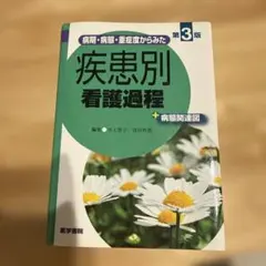 Item thumbnail for item 02b1ee81-3bec-4df0-995c-96b62d78e423