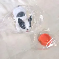 ふにゃふにゃ　おおきなフレンチブルドッグ　パイドのサムネイル