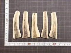2026-271 先端角4本☆鹿の角☆シカの角☆蝦夷鹿☆本州鹿☆工作素材