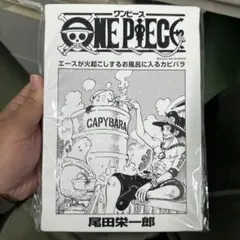 鋼の錬金術師 PAPUWA 特製缶バッジ 付録 月刊少年ガンガン 当時物限定