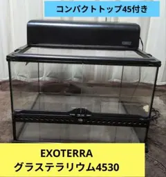 Item thumbnail for item 5599dbf2-28a5-4194-90c9-6eef3575486b