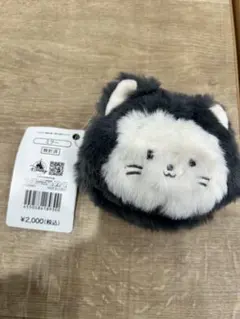 Disney ディズニーストア　春くじ　フィガロ